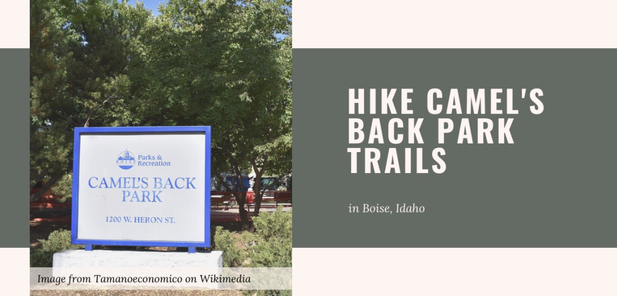 Summer in Idaho: Hike Camel’s Back Park Trails with the Kids